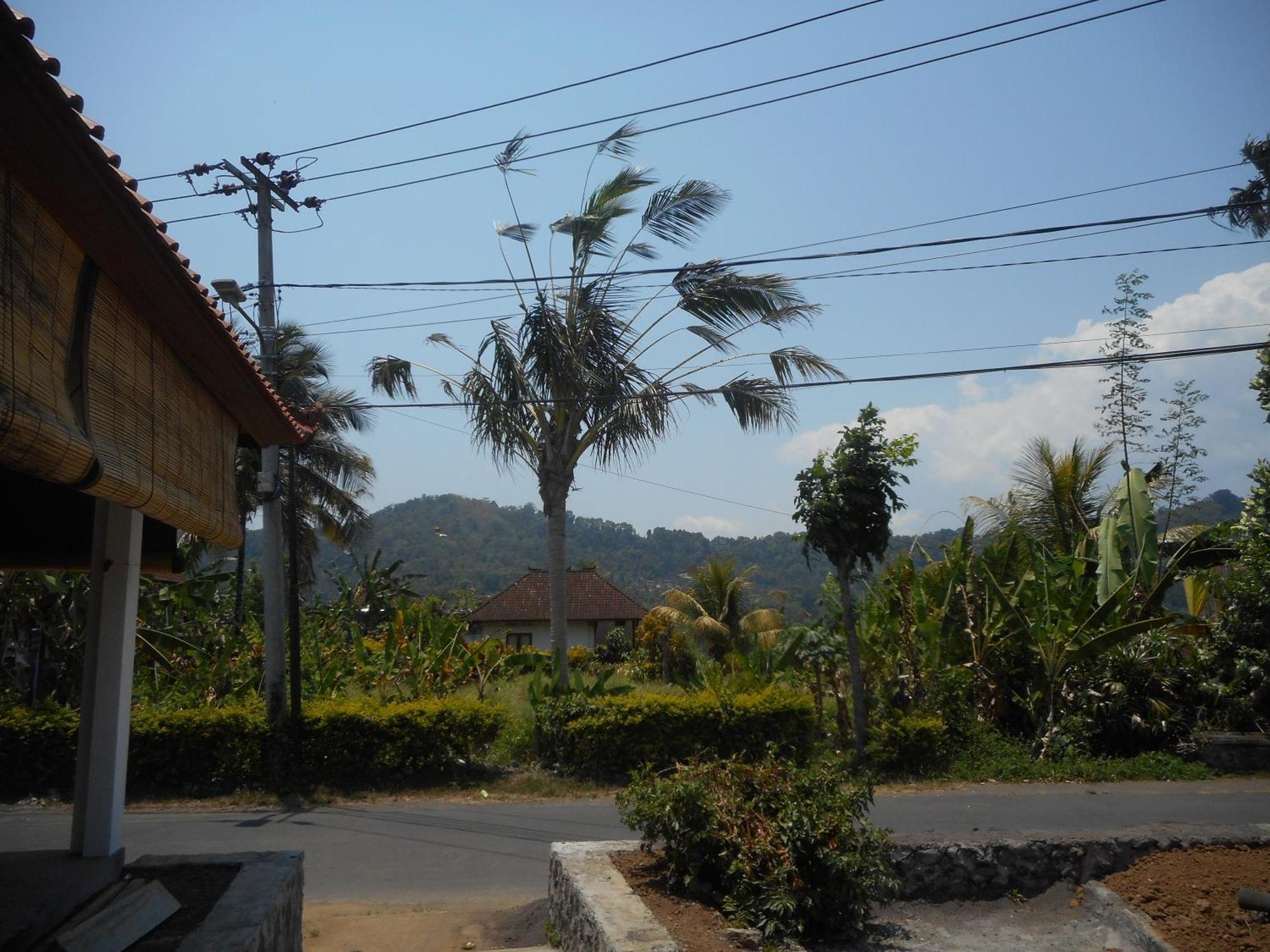Lila Stana - Sidemen Homestay Exterior photo