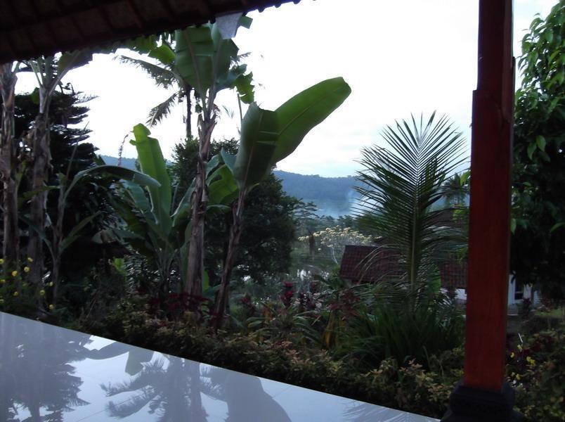 Lila Stana - Sidemen Homestay Exterior photo